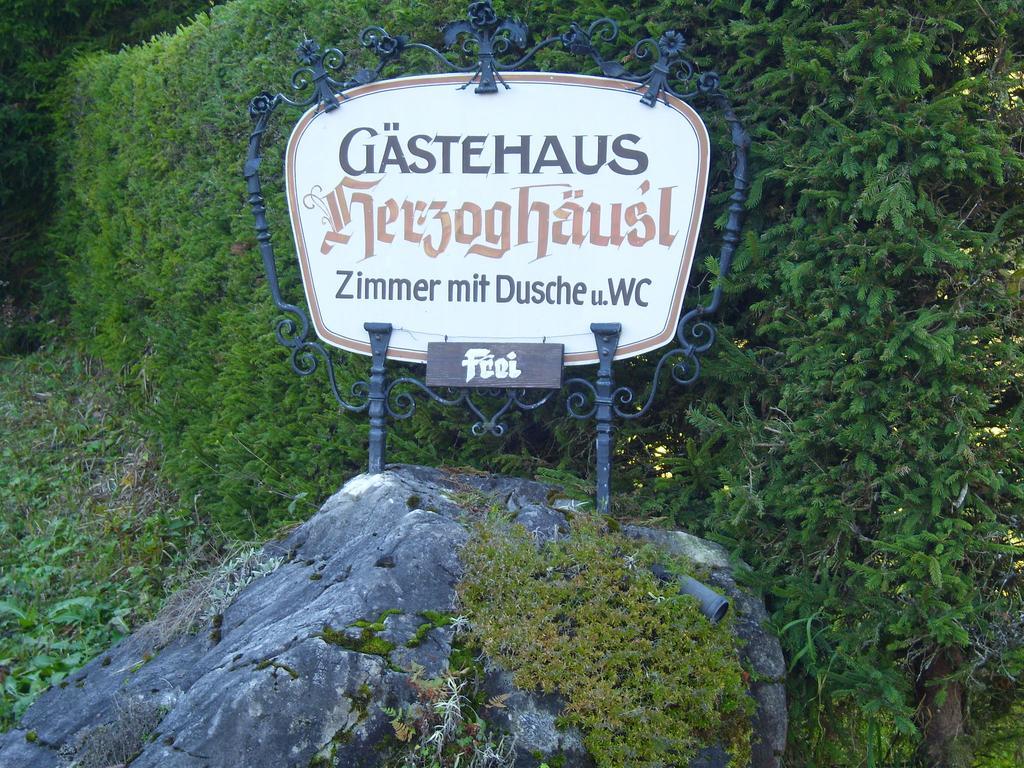Pension Herzoghaeusel Bischofswiesen Zewnętrze zdjęcie